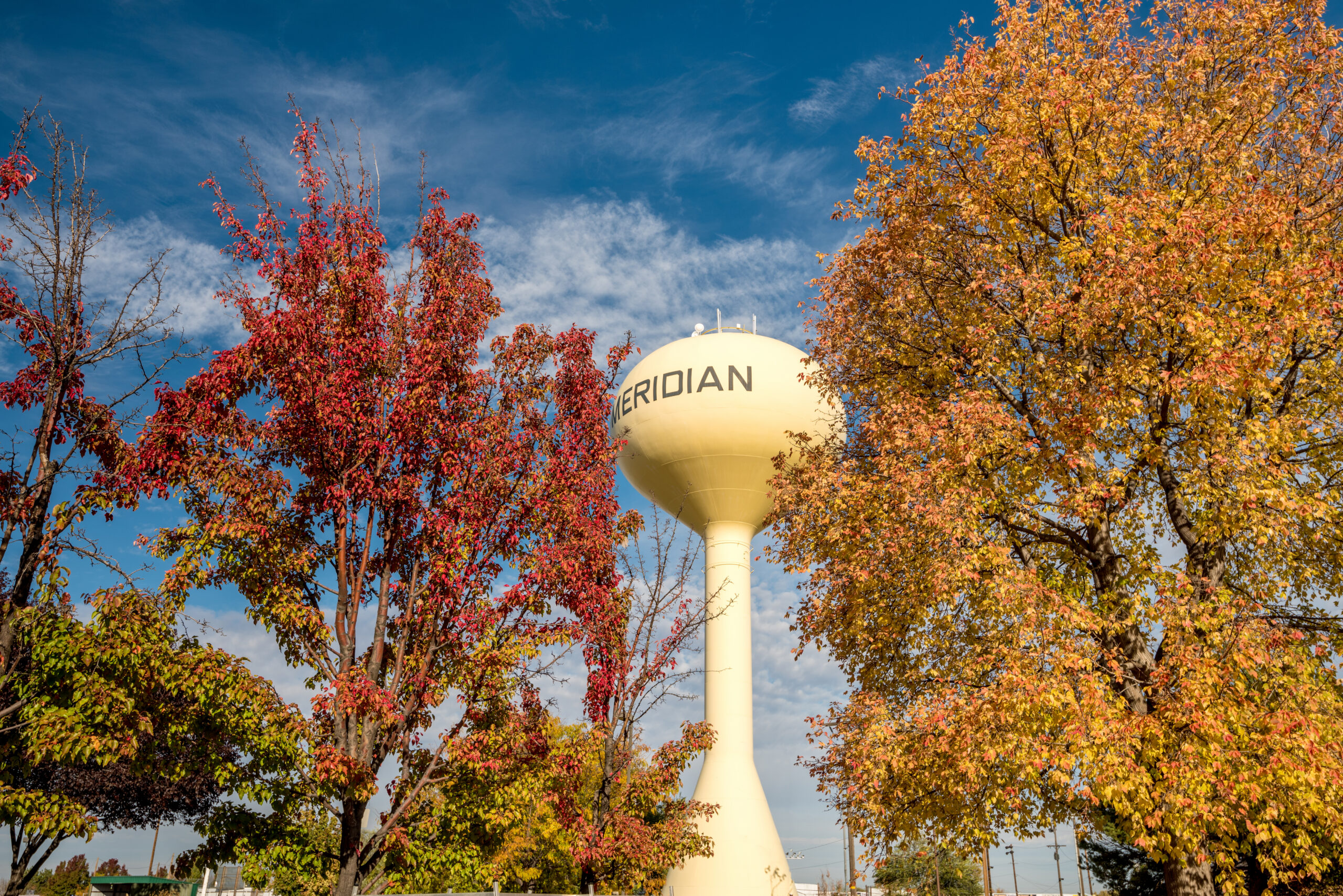 Meridian